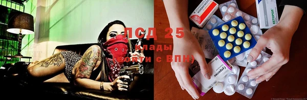 гашик Липки