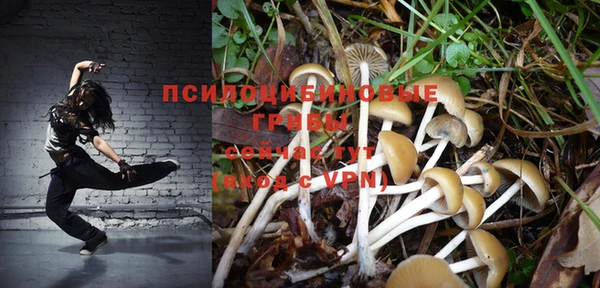 гашик Липки