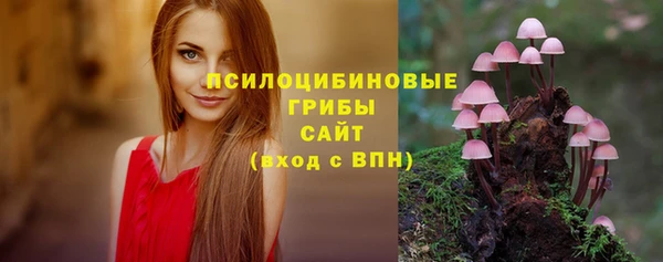 гашик Липки