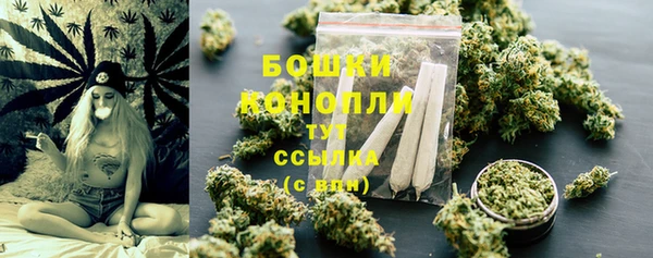 гашик Липки